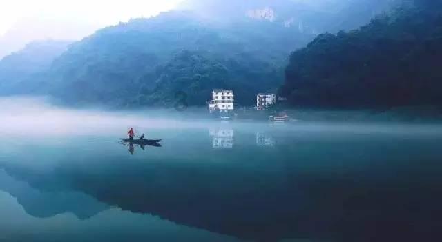 寻找萌小老虎