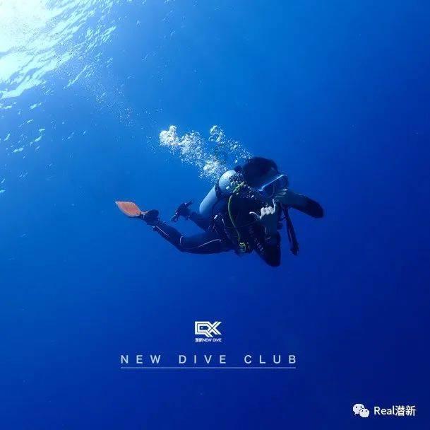 东北是不是连外卖的分量都特别足？游戏画面