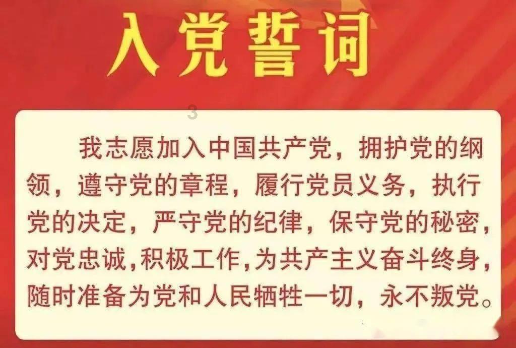 飞天小猪仔