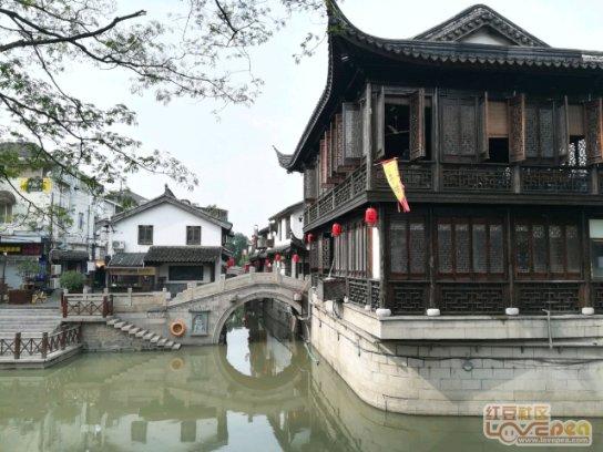 江西大豆其实很“可以”