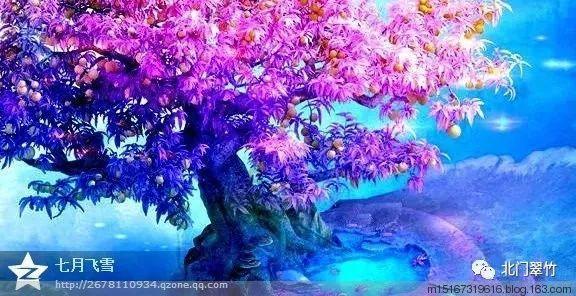她在《甄嬛传》中只出现四次，背后主子很强大，间接害死了一人